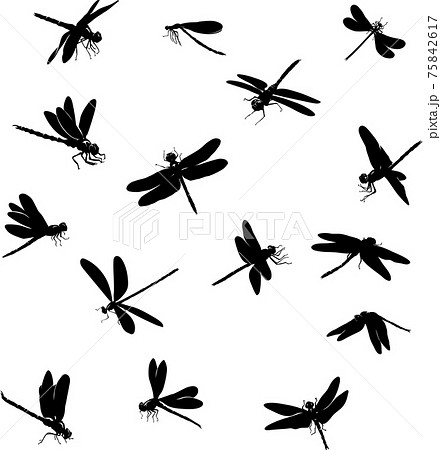 dragonfly, insect, various poses, movements and foreshortenings of figures, black, , black silhouette 75842617