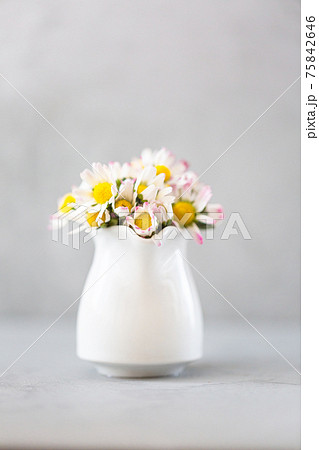 Beautiful daisy flowers in ceramic white vase on ultimate gray background 75842646