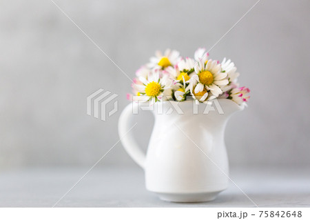 Beautiful daisy flowers in ceramic white vase on ultimate gray background 75842648