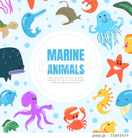 Marine Animals Banner, Underwater World Poster, Card, Flyer Design Template with Octopus, Whale, Jellyfish Cartoon Vector Illustration 75843474