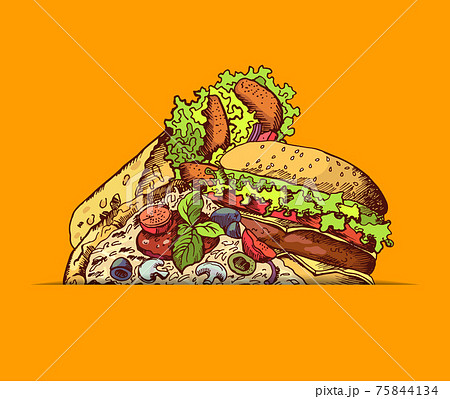 hand drawn fast food burger, taco, pizza illustration 75844134
