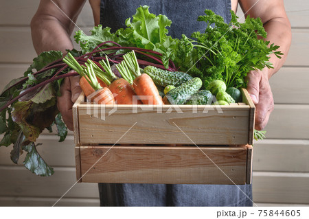 A man holds homegrown vegetables, beets, cucumbers 75844605