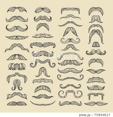 Mustache of men. Hand drawn pictures with funny hairstyle Mustache of men. Hand drawn pictures with funny hairstyle 75844617