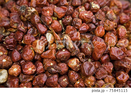 STOCK PHOTOGRAPHY IMAGES 75845115