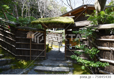 祇王寺 庭園入口 京都市嵯峨野 祇王寺 庭園入口 京都市嵯峨野 75845430