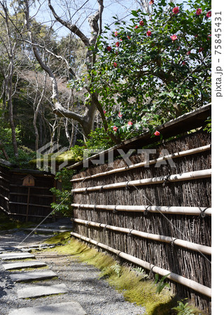 祇王寺 垣根 京都市嵯峨野 祇王寺 垣根 京都市嵯峨野 75845431