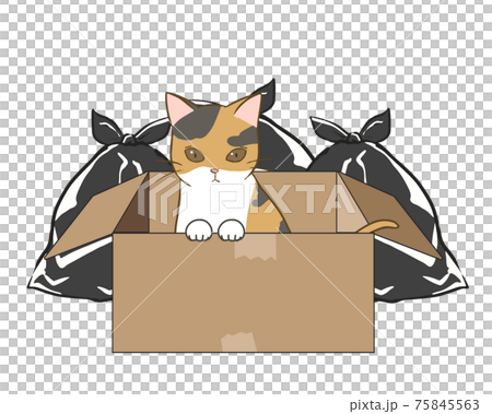 Abandoned Cat Garbage Dumping Calico Cat Stock Illustration