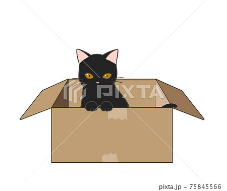 捨て猫 黒猫のイラスト素材