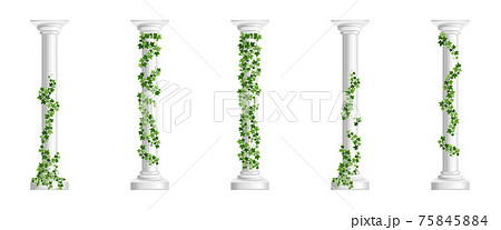 Marble greek columns with green ivy creeper isolated on white background. Stone pillars with climbing hedera vine. Realistic 3d vector illustration of crept plants on roman architecture design element 75845884