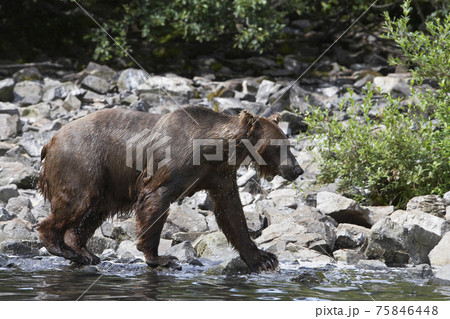 Stock photography images Stock photography images 75846448