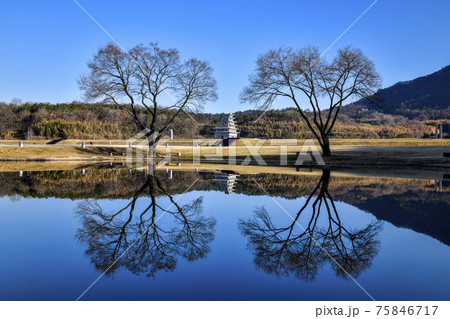 柳 木 池 75846717