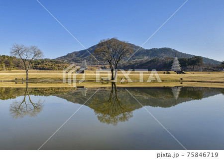 春 柳 池 75846719