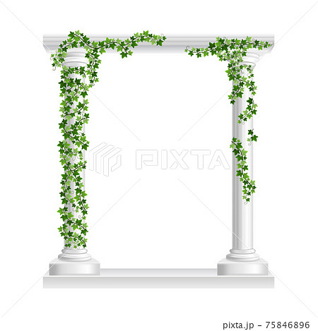 Marble roman arch with columns at green ivy creeper isolated on white background. Temple frame with stone pillars in climbing vine. Realistic 3d vector illustration of crept plants on architecture 75846896