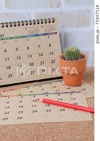 サボテン,ヘリテリー,植物,観葉植物,肉食植物、ガーデニング、園芸,トゲ,自然,緑色,とげ,仙人掌 75847528