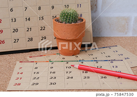 サボテン,ヘリテリー,植物,観葉植物,肉食植物、ガーデニング、園芸,トゲ,自然,緑色,とげ,仙人掌 75847530