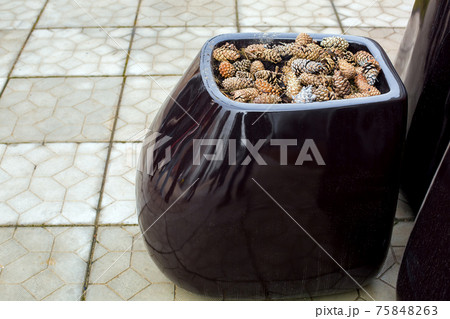 ceramic glossy black pot with pine cones mulch backyard decor against a gray stone tiles walkway close-up. 75848263