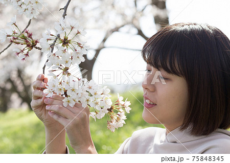 桜の花と女性のポートレート 桜の花と女性のポートレート 75848345