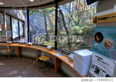 島根県立三瓶自然館サヒメル 展示の様子 島根県立三瓶自然館サヒメル 展示の様子 75848521