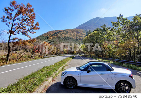 秋の三瓶山高原道路 秋の三瓶山高原道路 75848540