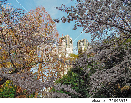 東京・新宿新都心の東京都庁第一本庁舎 75848953