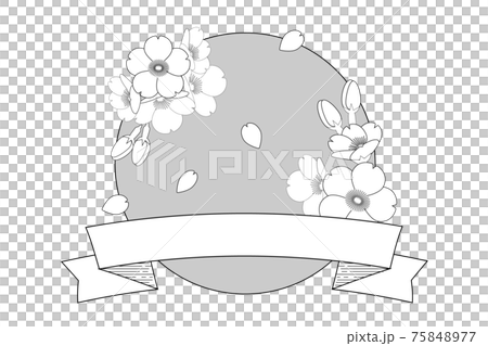 Sakura's frame 75848977