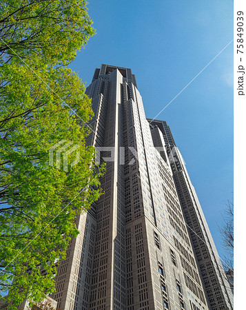 東京・新宿新都心の東京都庁第一本庁舎 75849039