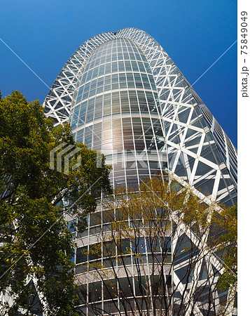 東京・新宿新都心の高層ビル街 東京・新宿新都心の高層ビル街 75849049