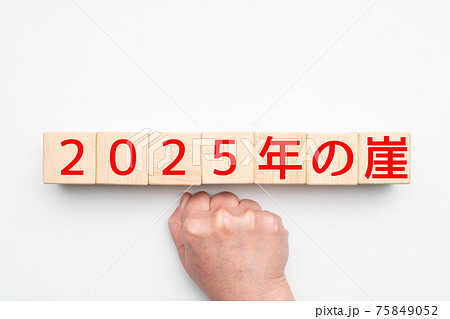 イメージ 2025年の崖 イメージ 2025年の崖 75849052