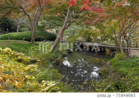 東山動植物園点景 75849063