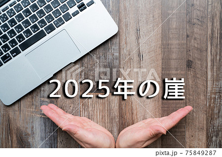イメージ 2025年の崖 イメージ 2025年の崖 75849287