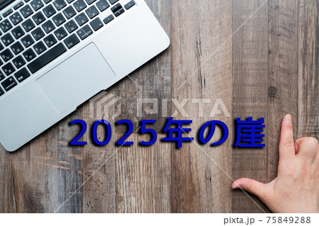 イメージ 2025年の崖 イメージ 2025年の崖 75849288