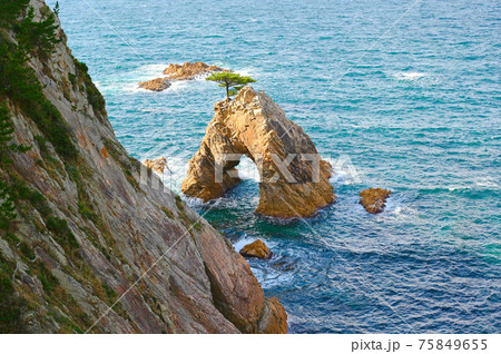 浦富海岸 千貫松島 山陰海岸ジオパーク 浦富海岸 千貫松島 山陰海岸ジオパーク 75849655
