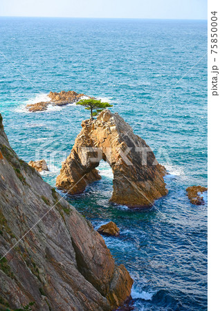 浦富海岸　千貫松島　山陰海岸ジオパーク　岩美町 75850004