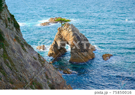 浦富海岸　千貫松島　山陰海岸ジオパーク　岩美町 75850016