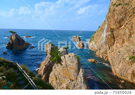 浦富海岸 千貫松島展望台 山陰海岸ジオパーク 岩美町 浦富海岸 千貫松島展望台 山陰海岸ジオパーク 岩美町 75850026