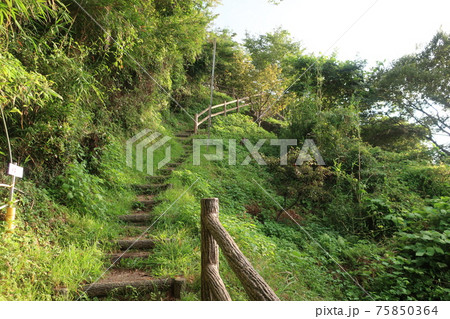 薩埵峠 薩埵峠 75850364