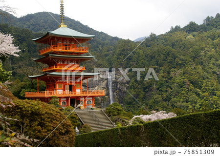 三重の塔と那智の滝 三重の塔と那智の滝 75851309