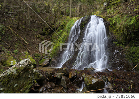 馬の脊の滝の下流にある無名滝(兵庫県丹波市) 馬の脊の滝の下流にある無名滝(兵庫県丹波市) 75851666