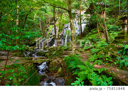 金引の滝　金引不動尊　京都府宮津市 75851848