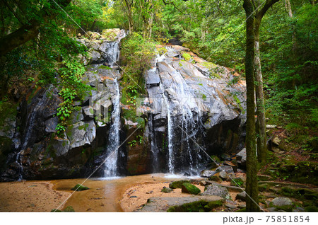 金引の滝　日本の滝百選　宮津市 75851854