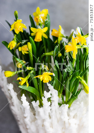 Floral composition with yellow daffodils Floral composition with yellow daffodils 75853877
