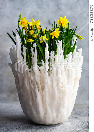 Floral composition with yellow daffodils Floral composition with yellow daffodils 75853879