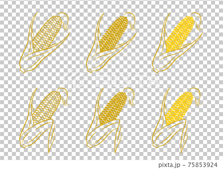 トウモロコシのベクターイラスト 75853924