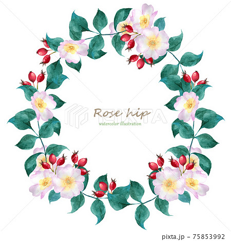 ローズヒップのリース ローズヒップのリース 75853992