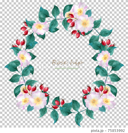 ローズヒップのリース ローズヒップのリース 75853992