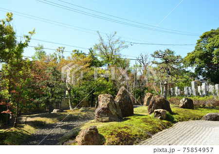 龍雲寺 庭園 龍雲寺 庭園 75854957
