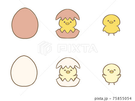 Red Eggs White Eggs Chicks Stock Illustration