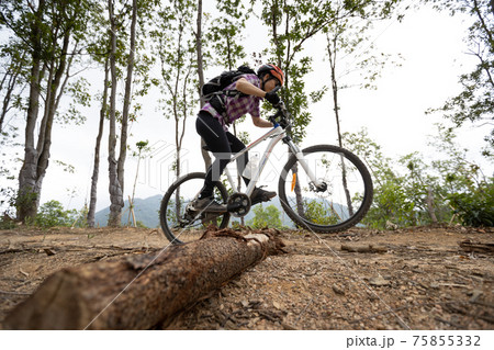 Woman cyclist cycling on mountain top forest trail 75855332