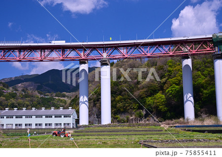 桜咲く頃の御殿場線山北町 桜咲く頃の御殿場線山北町 75855411