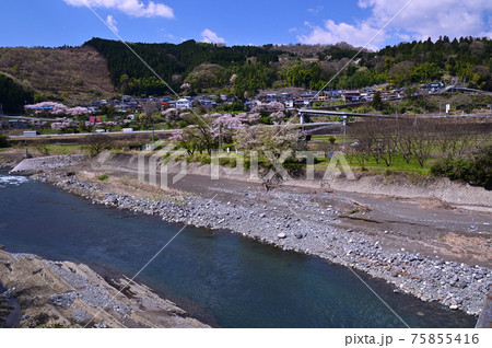 桜咲く頃の御殿場線山北町 桜咲く頃の御殿場線山北町 75855416